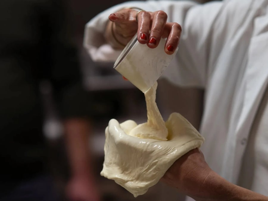 Mozzarella and Burrata production workshop in Bordeaux (33)