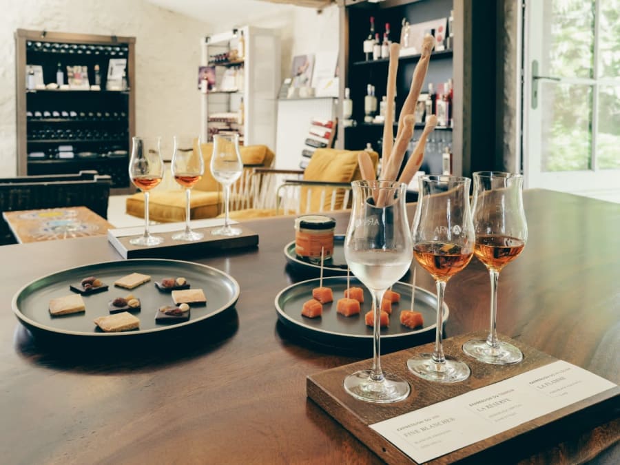 Tour and Armagnac Tasting at Château d'Arton in Lectoure (32)