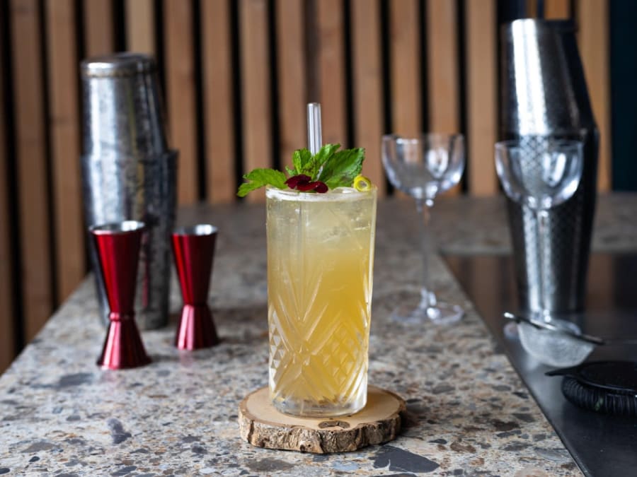 Workshop especial de cocktails com gin em Bordéus (33)