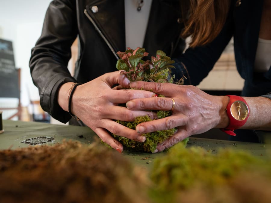Taller de kokedama en Rezé (44)