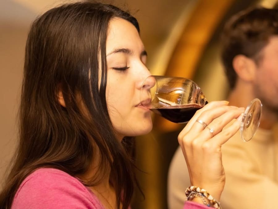 Visite & dégustation de vins Caves du Louvre Paris (en anglais)