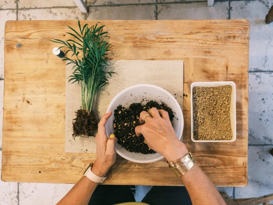 Team Building atelier kokedama à Grenoble (38)