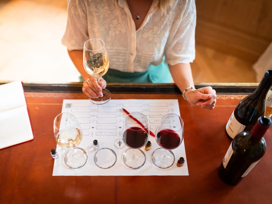 Wine tasting workshop in Saint-Hippolyte (33)