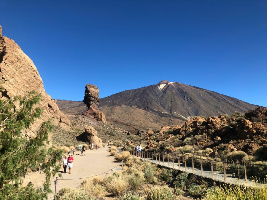 Tour guidé Parc du Teide, Icod de los Vinos, Garachico et Masca
