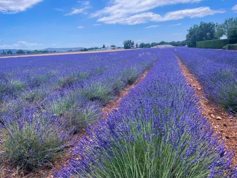 Balade à trottinette électrique à Sainte-Croix-du-Verdon (04)