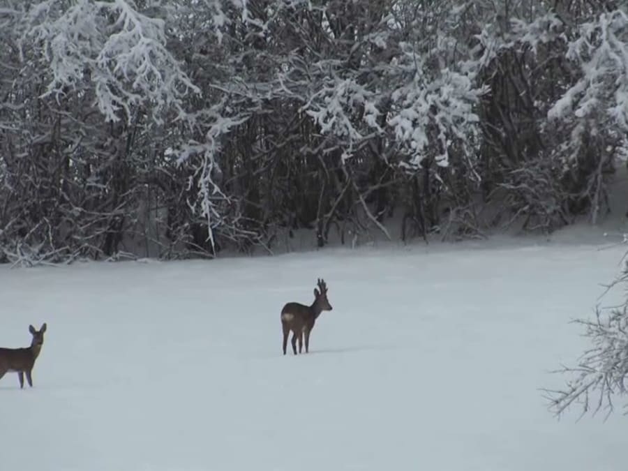 Curso de supervivencia "Frío extremo" en el macizo de la Vanoise