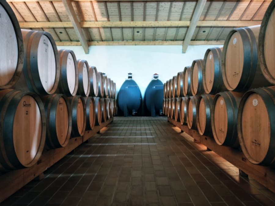 Excursion demi-journée Grands Vins de Saint-Emilion et Pomerol