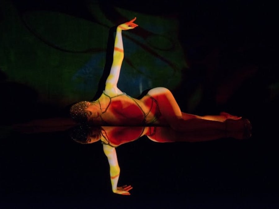 Billet pour le spectacle du Crazy Horse à Paris 8ème