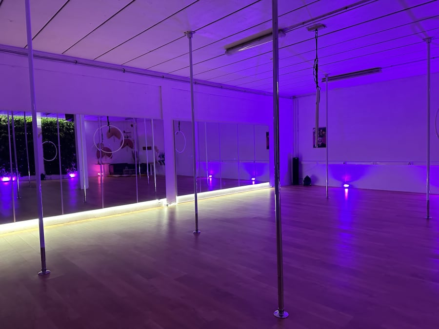 Cours de tissu aérien spécial EVJF à Domont (95)