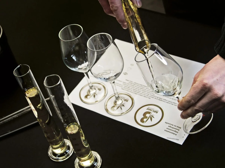 Dégustation de vins  au chanvre et fromages à La Regrippière (44