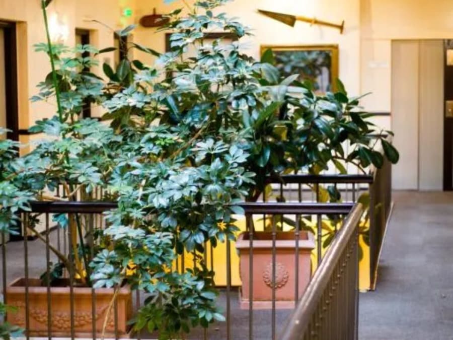 Grand Hôtel d'Orléans*** à Toulouse (31)