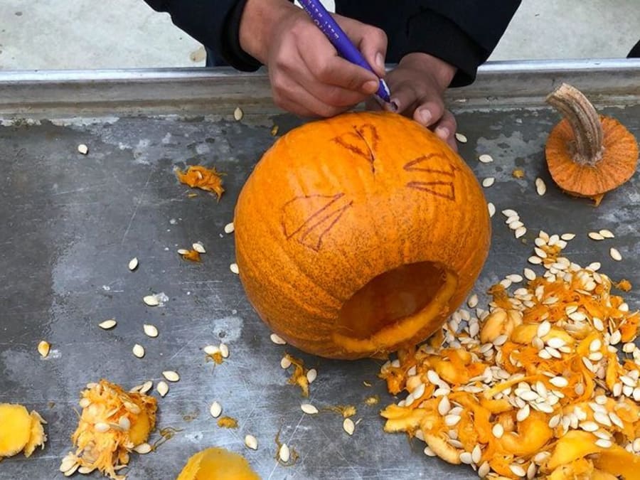 Atelier Citrouille Halloween A La Cueillette De Compans Funbooker