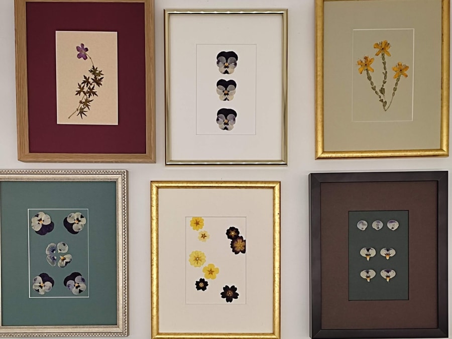 Initiation à l'encadrement d'une composition florale à Lyon (69)