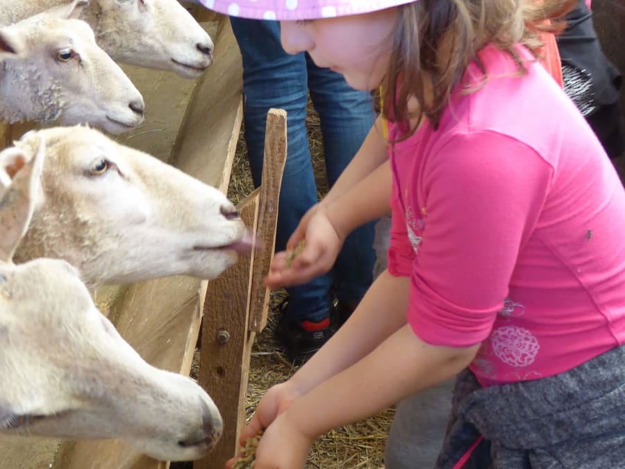 Anniversaire enfant à la ferme de Monsieur Seguin, dans l'Ain