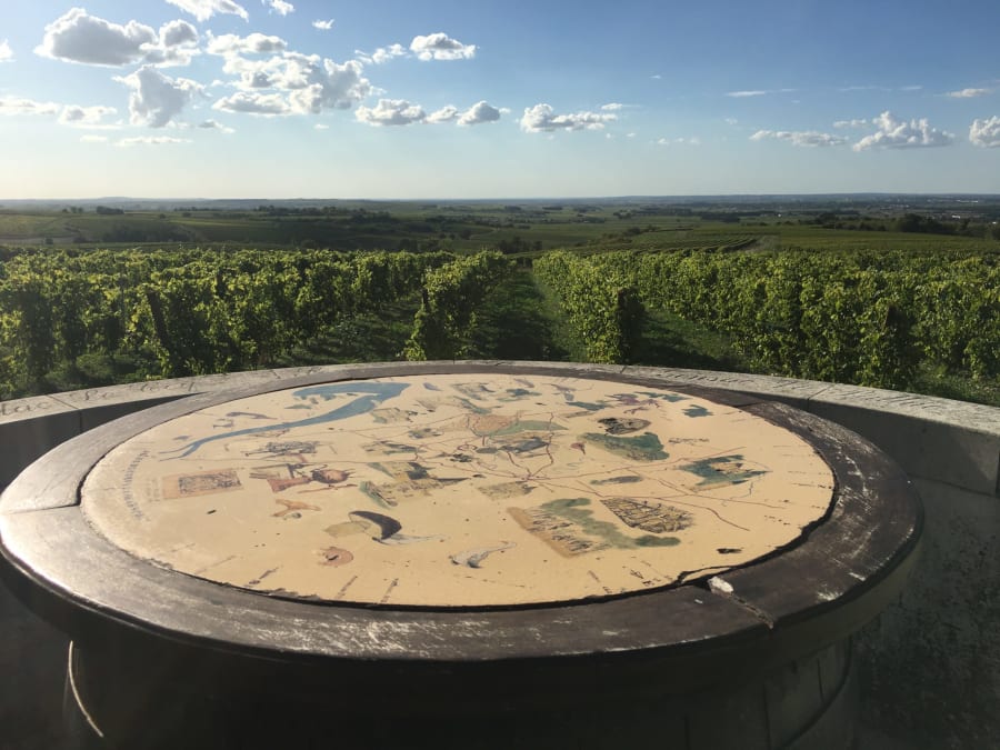 Randonnée en Quad à Cognac (16)