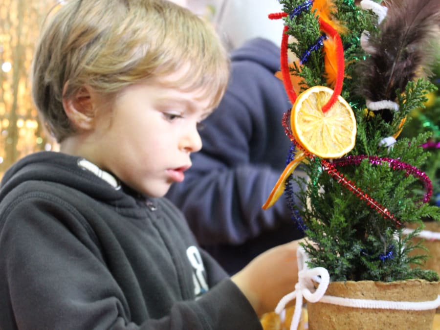 A little tree grows into a big one at the Ferme de Gally in St-C