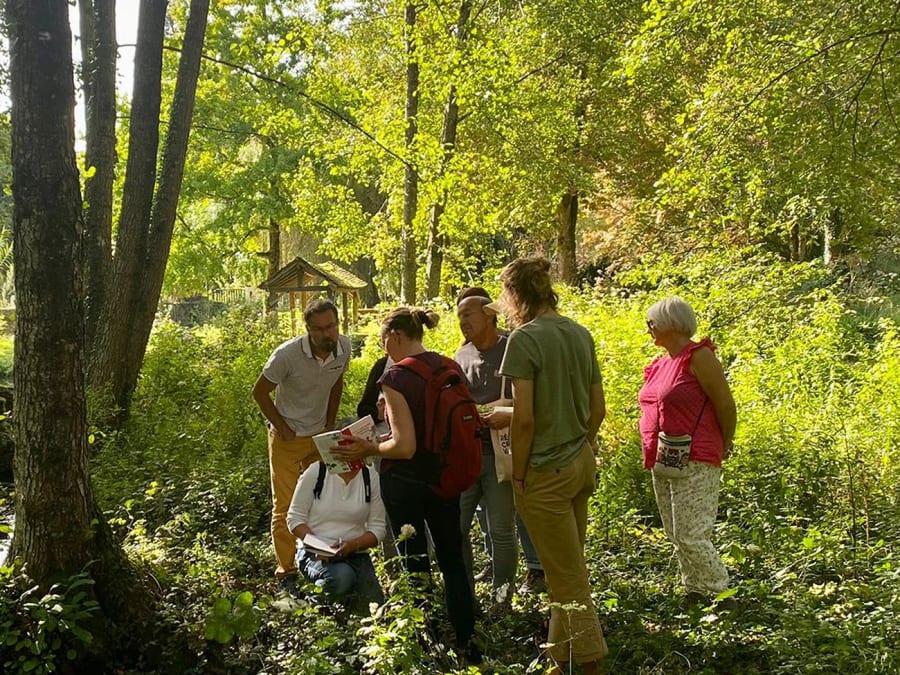 Introducción a las plantas silvestres en Chambray-lès-Tours (37)