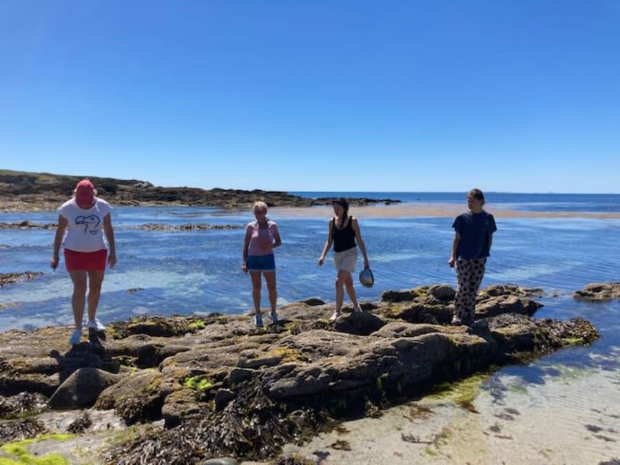 Cours de cuisine "Algues" à Camaret-Sur-Mer