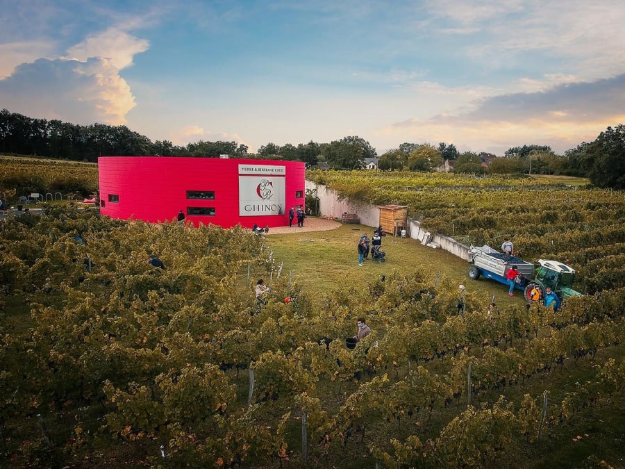 Visite découverte & dégustation au domaine P&B Couly (37)