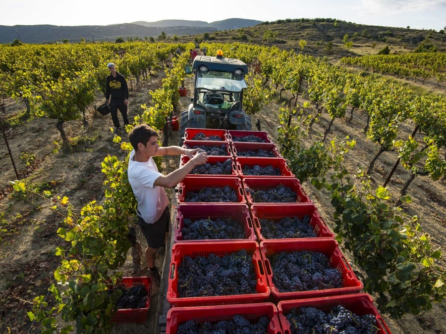 Team Building au domaine du Chateau de la Selve (07)