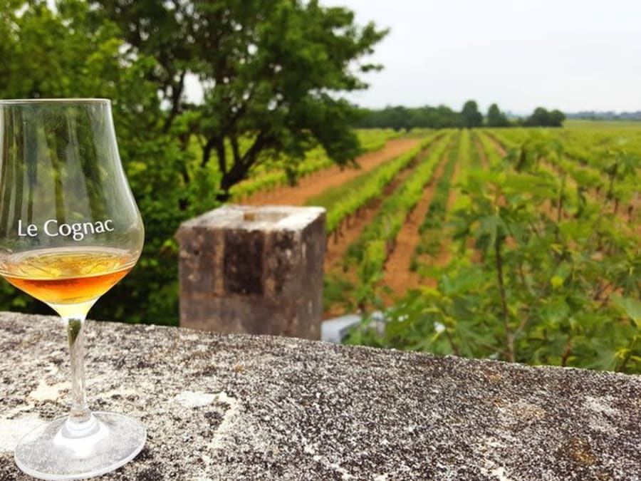 Cognac & distilleries private day from Cognac (16)