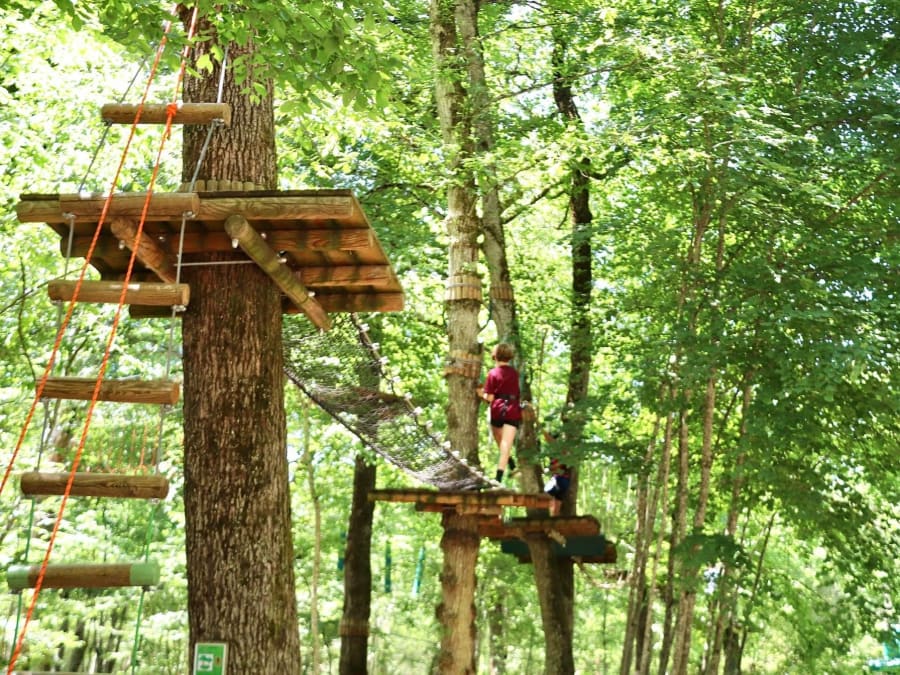 Parcours Accrobranche à Curley proche de Dijon (21)