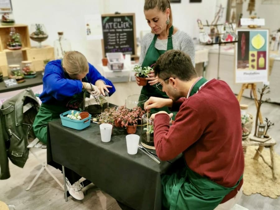Atelier terrarium à St Martin du Var (06)
