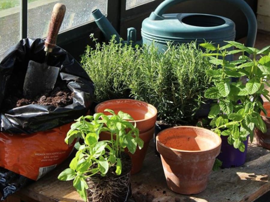 Atelier Plantation & Animaux À La Ferme De Gally Sartrouville
