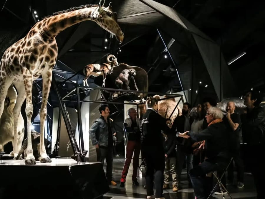 Billet d'entrée pour le Musée des Confluences à Lyon (69)