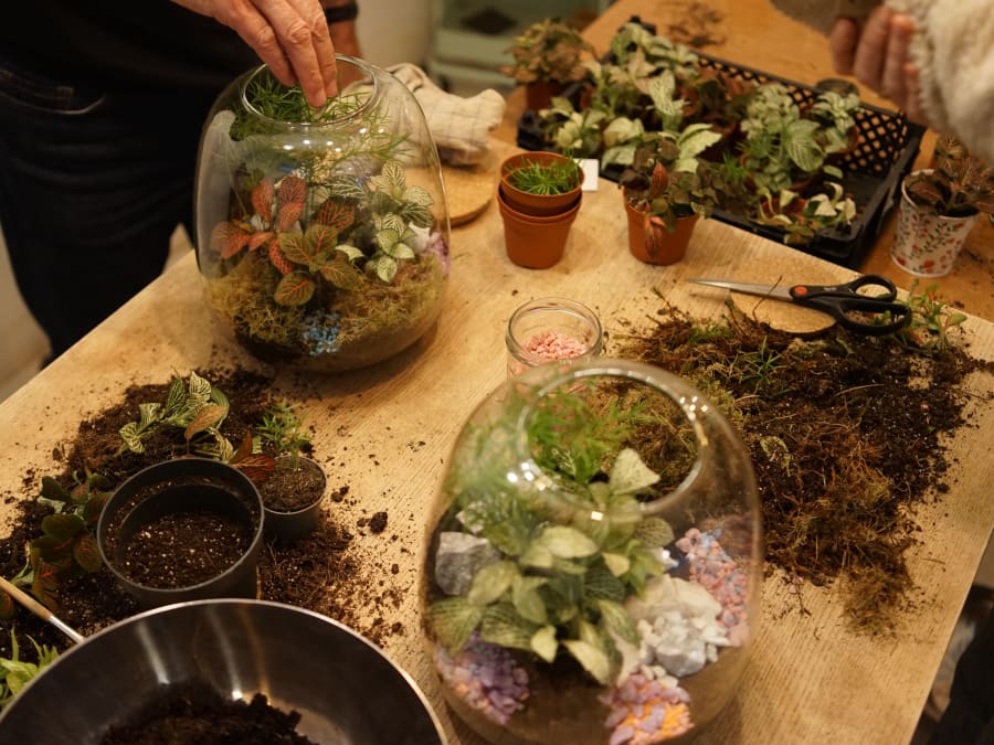 Team Building Atelier terrarium à Paris 11ème