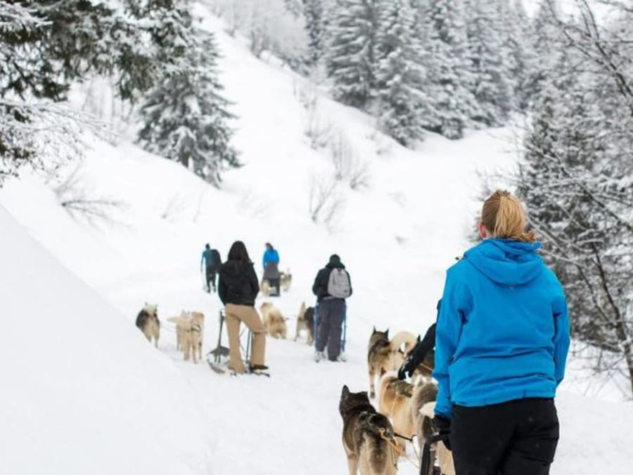 Introduction to dog sledding in Avoriaz (74)