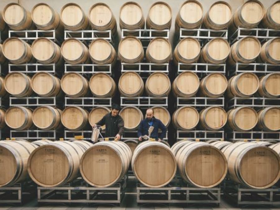 Atelier assemblage de vin au Château Cormeil-Figeac (33)