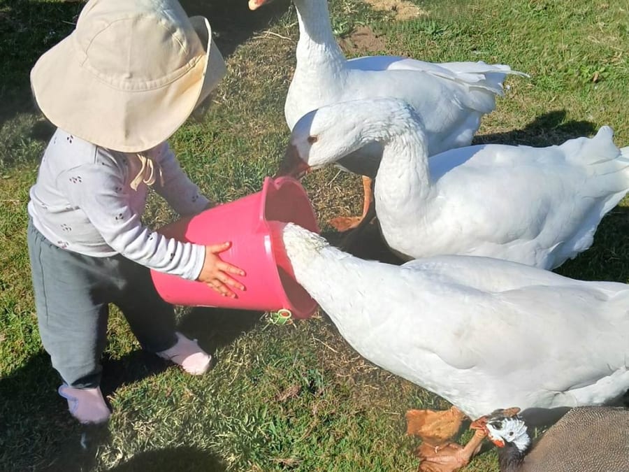 Taller para bebés en Lanvellec (22)