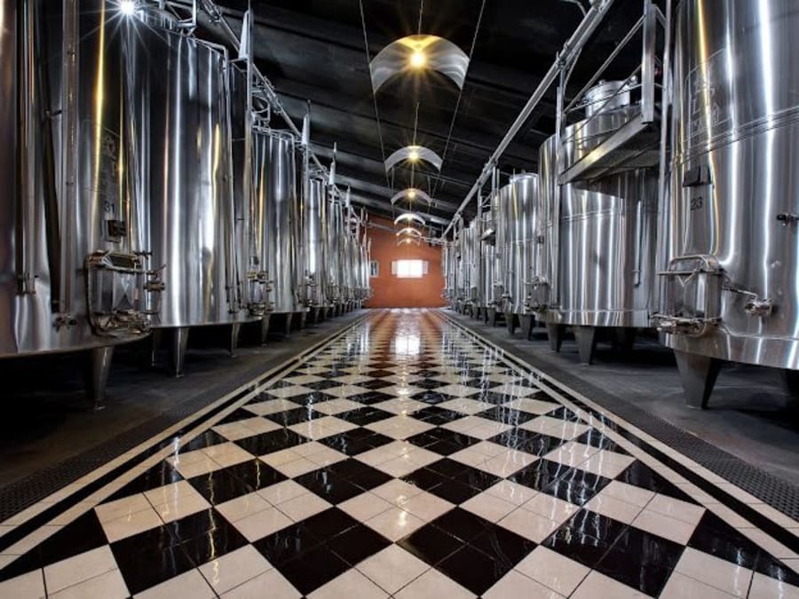 Wine and food pairing excursion in the Médoc