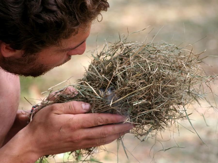 Initiation aux savoir-faire primitifs dans la Forêt de Marly