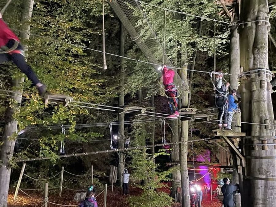 Parque arborícola de Dénestanville (76)