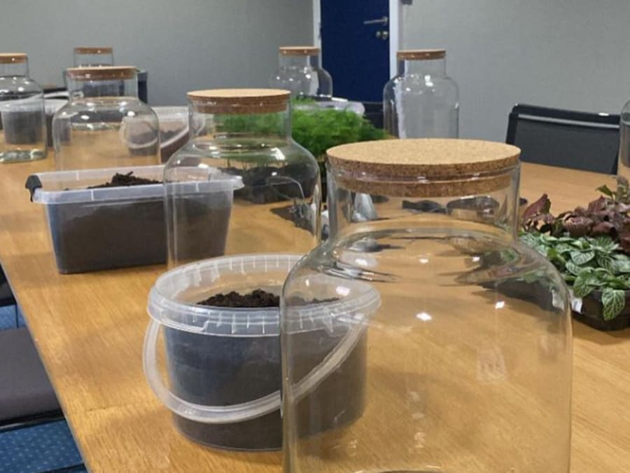 Atelier terrarium à Boulogne (92)