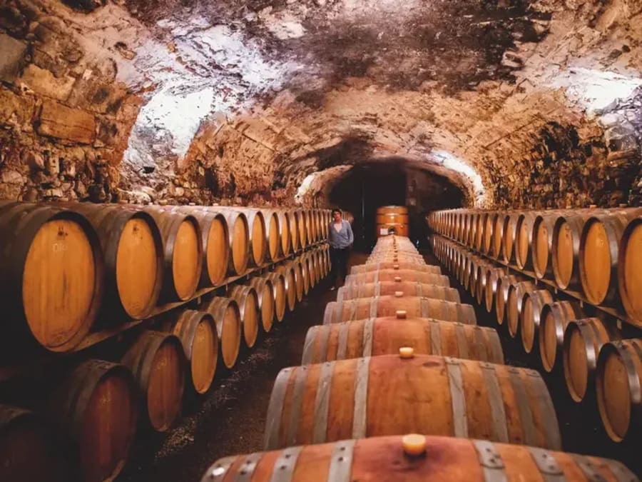 Visite de cave & dégustation de vins bios à Luc-sur-Orbieu (11)