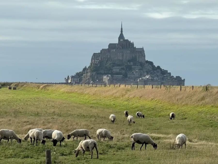 Team building vélo, char à voile et dégustation à Beauvoir (50)