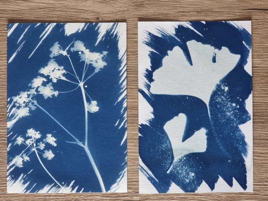 Team Building atelier cyanotype à  Saint-Avertin (37)