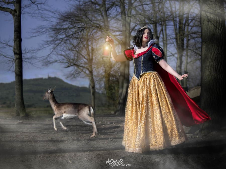 Anniversaire "Princesse" 4-12 ans dans le Vexin (95)