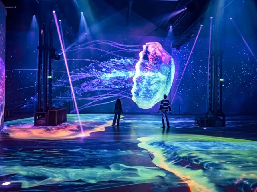 Ticket to the Atelier des Lumières in Paris: "Planète Océan" exhibition
