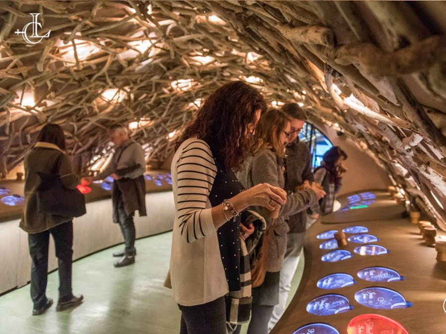 Visite & dégustation de vins Premium aux Caves du Louvre, Paris