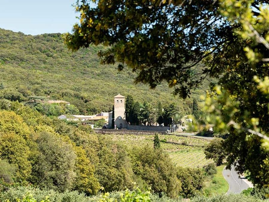 Team Building Visite de vignobles & dégustation de vin à Béziers