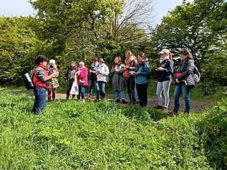 Paseos por la naturaleza y clases de cocina vegetariana en Renne