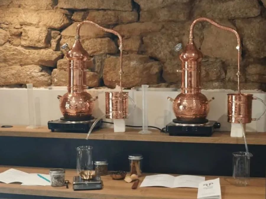 Team Building Distillation de votre gin à Quimper (29)