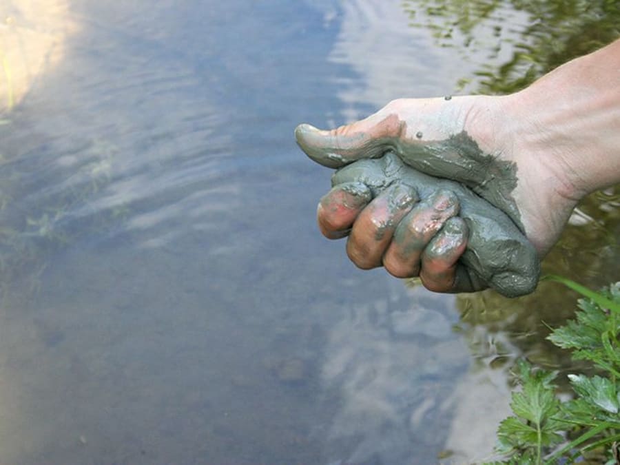 Initiation aux savoir-faire primitifs dans la Forêt de Marly