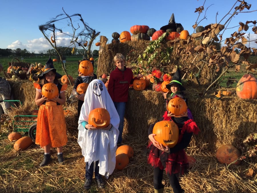 Atelier Halloween, sculpture sur citrouille à la Ferme de Rutel