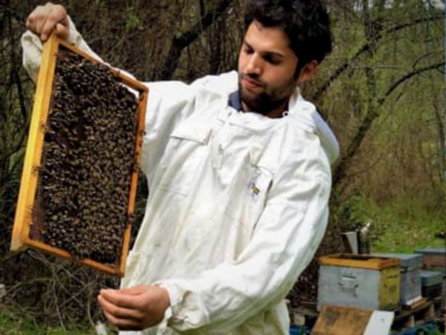Curso de iniciação à apicultura em Francillon-sur-Roubion (26)