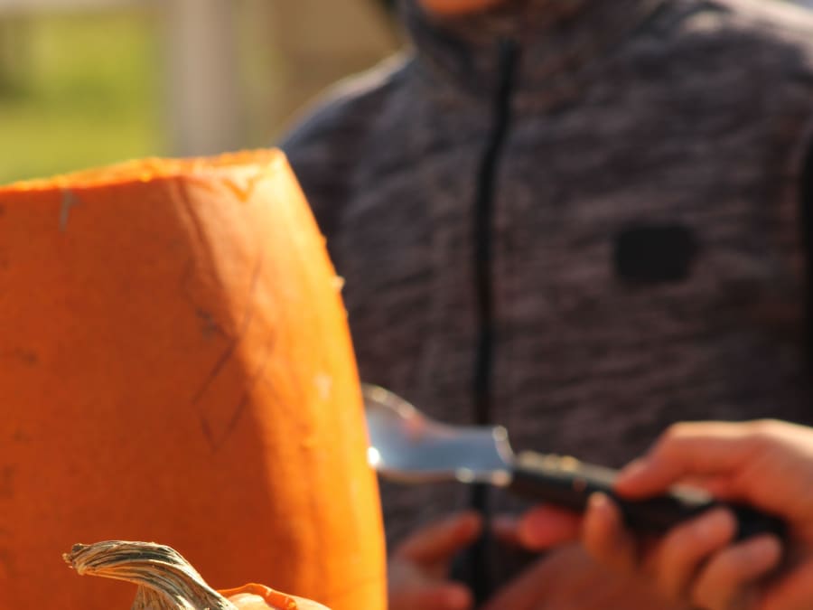 Atelier Halloween, sculpture sur citrouille à la Ferme de Rutel